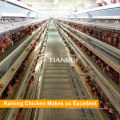 Design Automatic a Type Chicken Egg Layer Cages